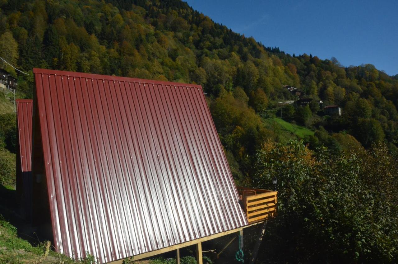 Mikrun Rize