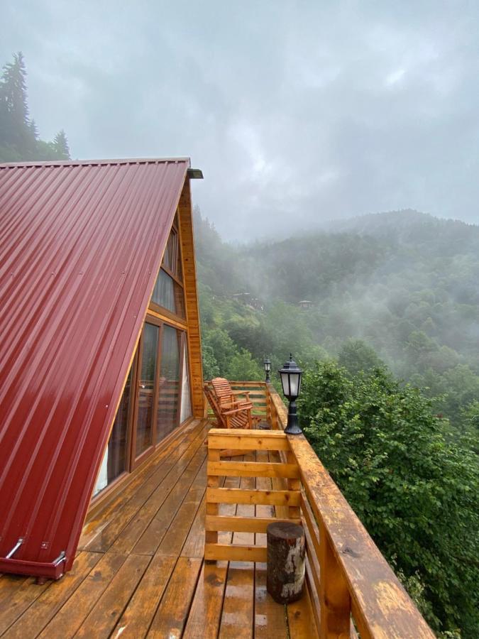 Mikrun * Rize