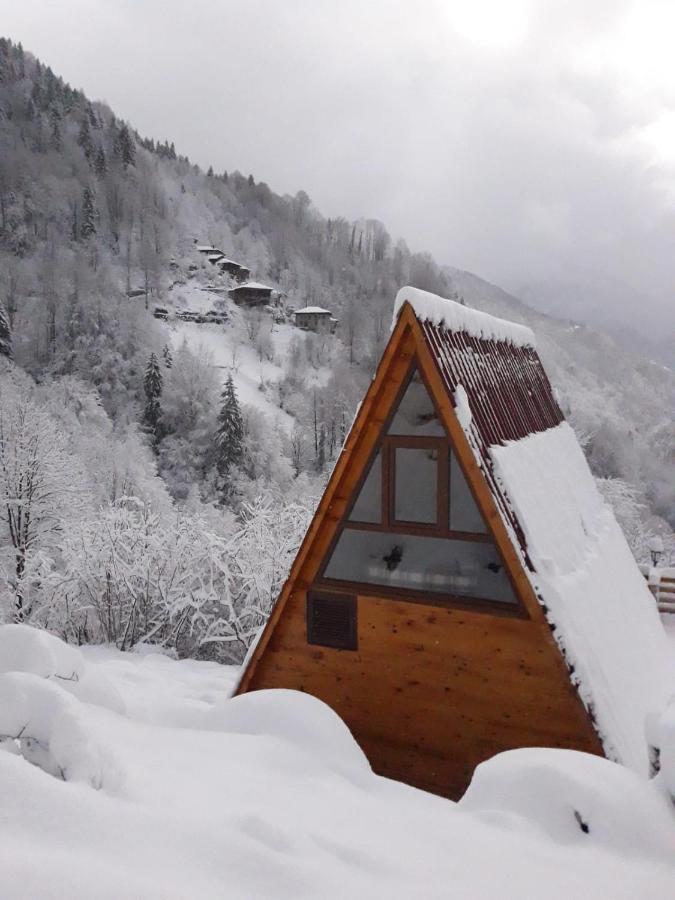 Mikrun * Rize