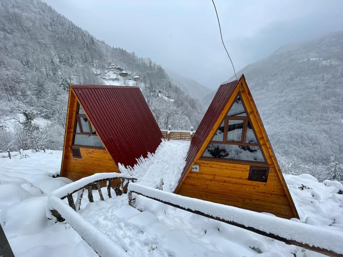 Mikrun Rize